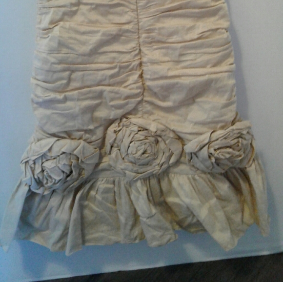 BCBG Champagne Cocktail Dress - Picture 6 of 7